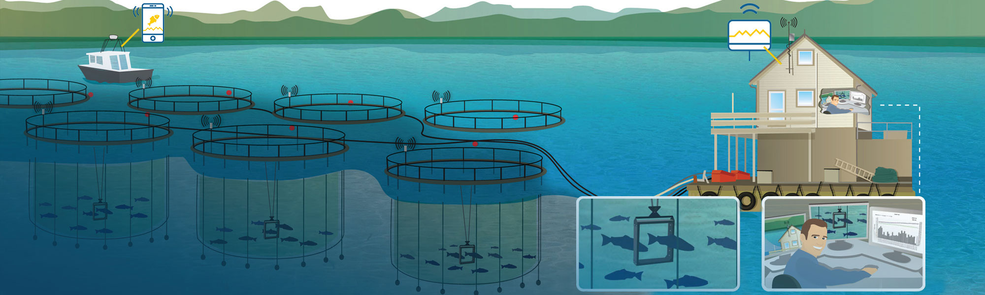 biomass daily system illustration