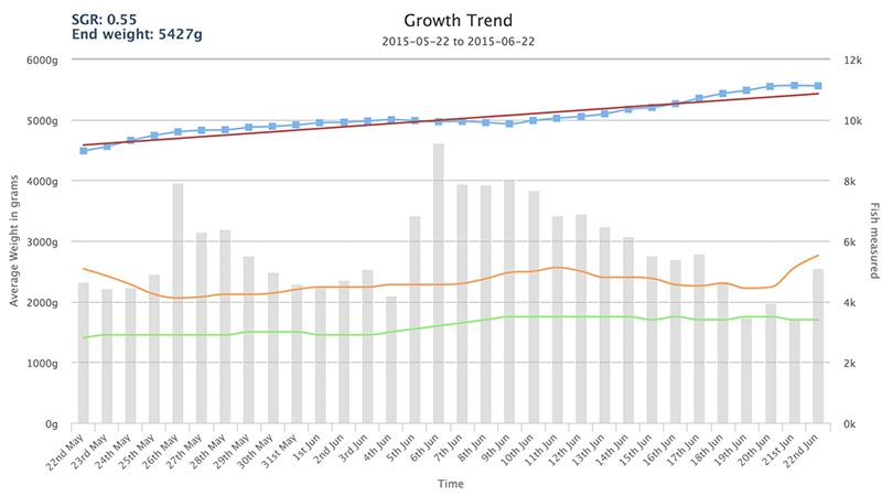 the growth trend