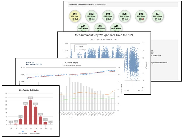 software illustration with data