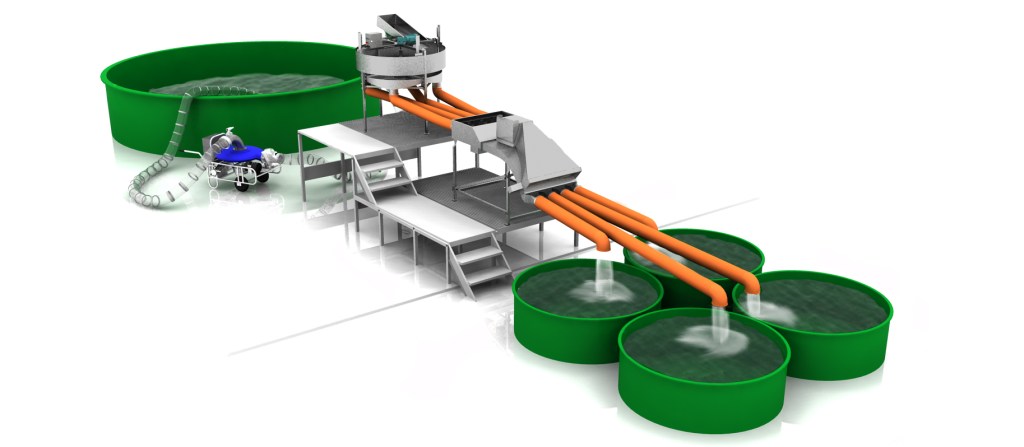 hatchery system