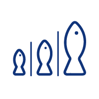 icon_Smart-Grader