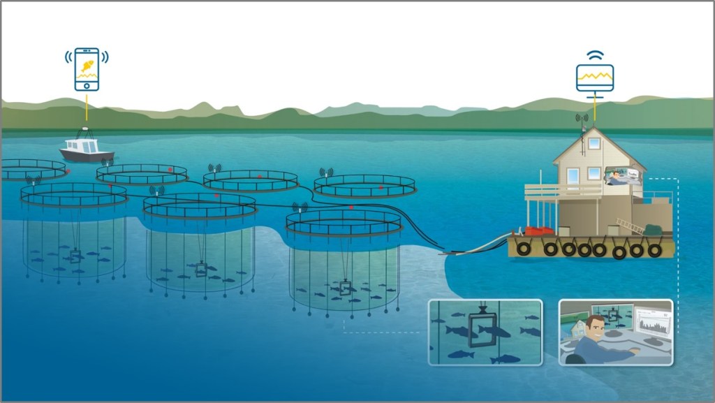 Sea Based Fish Farming-Vaki